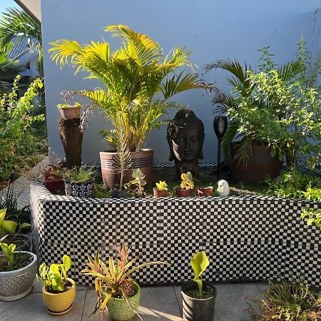 Pasifika Guesthouse 楠迪 外观 照片