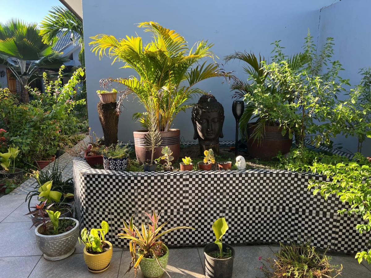 Pasifika Guesthouse 楠迪 外观 照片